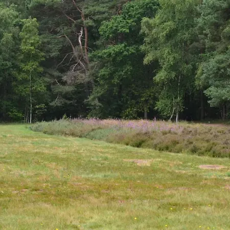 Semesterbostad 12 Person In Ega-by Traum Åstrup