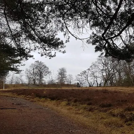 12 Person In Ega-by Traum *